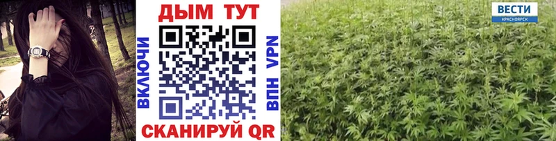 Купить Каневская Галлюциногенные грибы  ГАШ  MDMA  Бошки Шишки 
