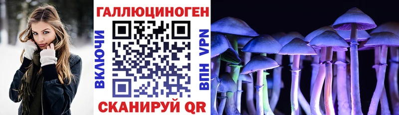 блэк спрут ССЫЛКА  Каневская  Псилоцибиновые грибы Psilocybe  магазин   